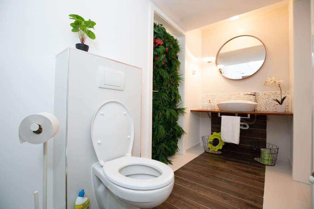 E-House Apartment Brasov Noua Exterior foto